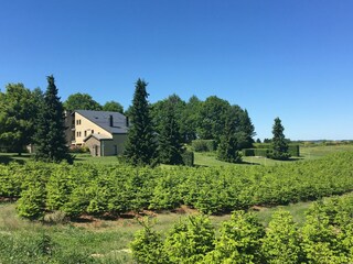 Apartment Vresse-sur-Semois Outdoor Recording 3