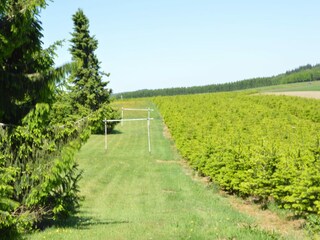 Appartamento Vresse-sur-Semois Registrazione all'aperto 6