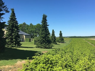 Apartment Vresse-sur-Semois Außenaufnahme 4