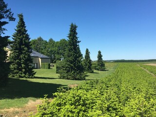 Appartement Vresse-sur-Semois Buitenaudio-opname 8