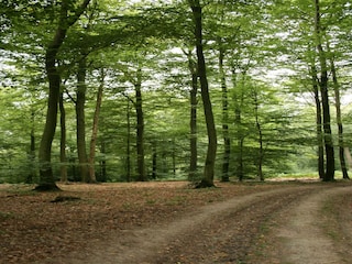 Apartamento Vresse-sur-Semois Entorno 36