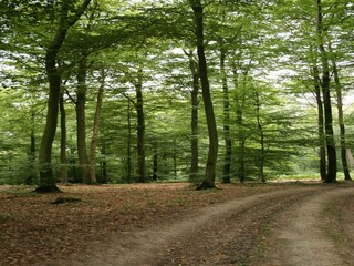 Appartamento Vresse-sur-Semois Ambiente 36