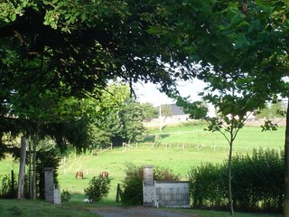 Holiday house Vresse-sur-Semois Environment 29