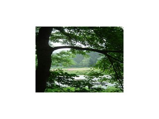 Vakantiehuis Vresse-sur-Semois Omgeving 29