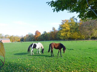 Vakantiehuis Houyet Omgeving 36