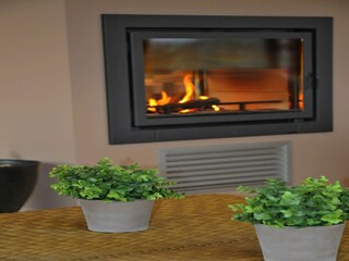 Vakantiehuis Houyet  38
