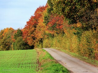 Vakantiehuisje Javingue Omgeving 34