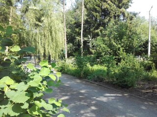 Appartement Javingue Environnement 29