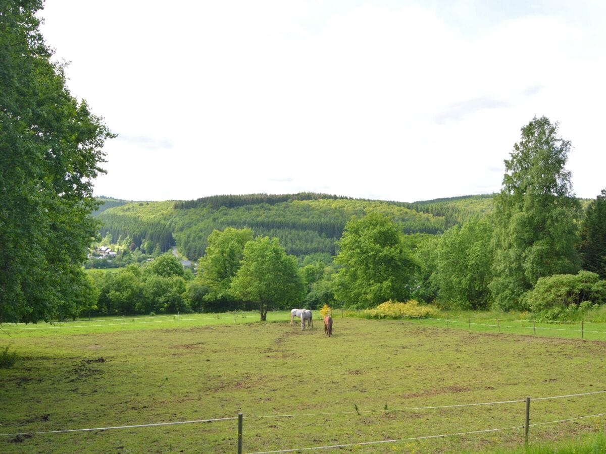 Ferienhaus Gedinne Außenaufnahme 9