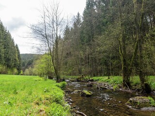 Casa de vacaciones Gedinne Entorno 23