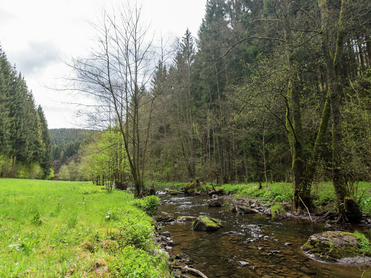 Ferienhaus Gedinne Umgebung 24