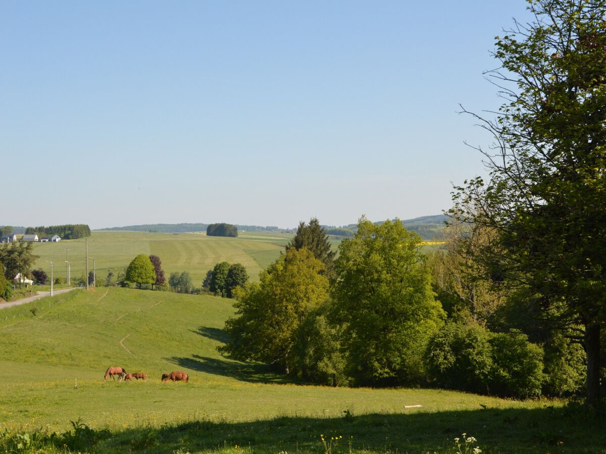 Ferienhaus Gedinne Umgebung 27