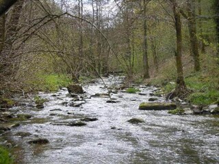 Casa per le vacanze Gedinne Ambiente 38