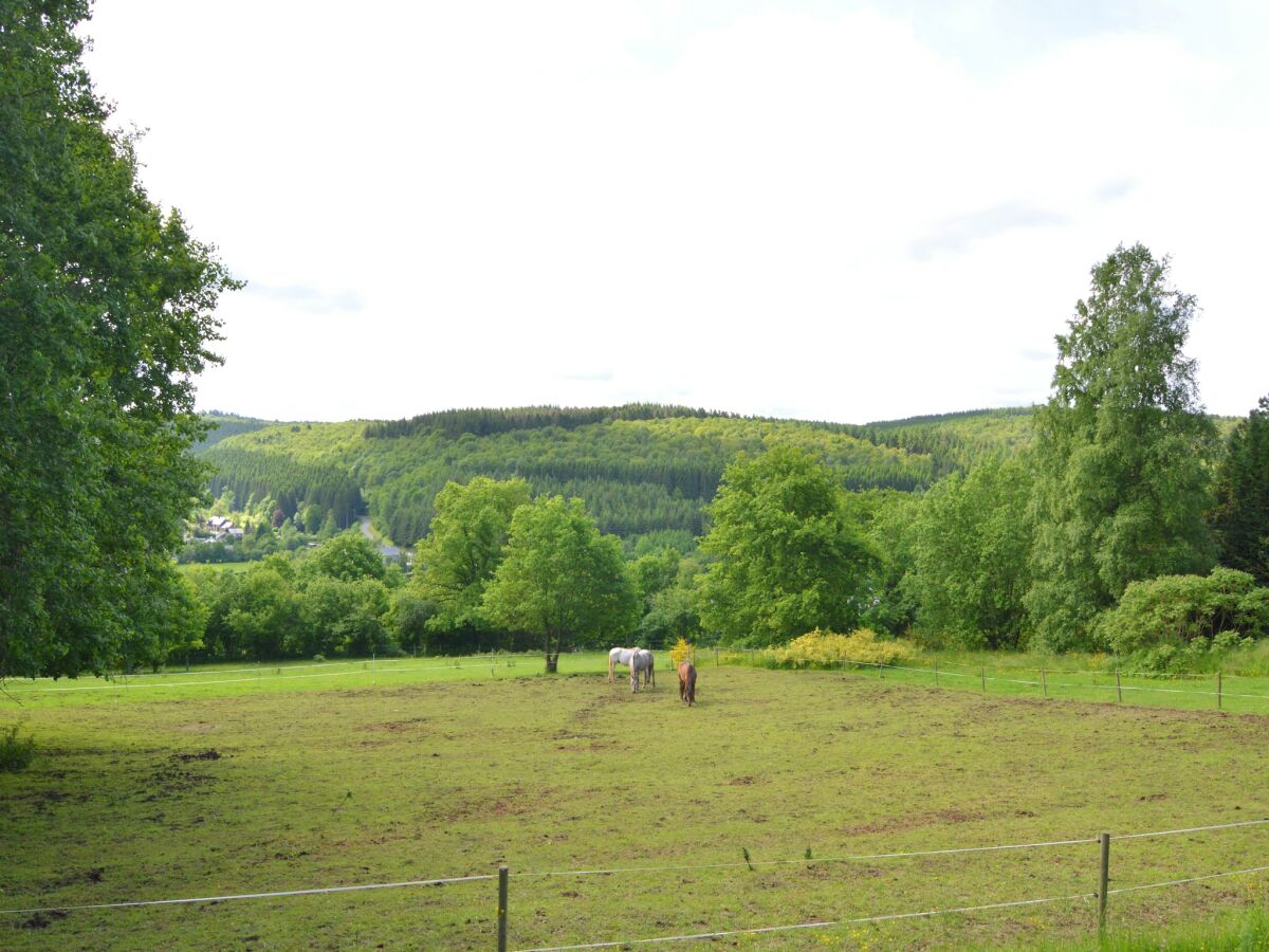 Ferienhaus Gedinne Umgebung 26