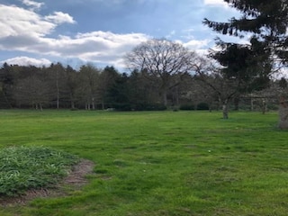 Ferienhaus Gedinne Umgebung 31