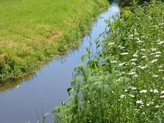 Vakantiehuis Gedinne Omgeving 38