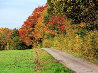 Vakantiehuisje Rochefort Omgeving 37