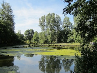 Ferienhaus Gesves Außenaufnahme 12