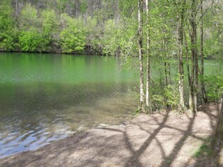 Vakantiehuisje Cerfontaine Omgeving 37