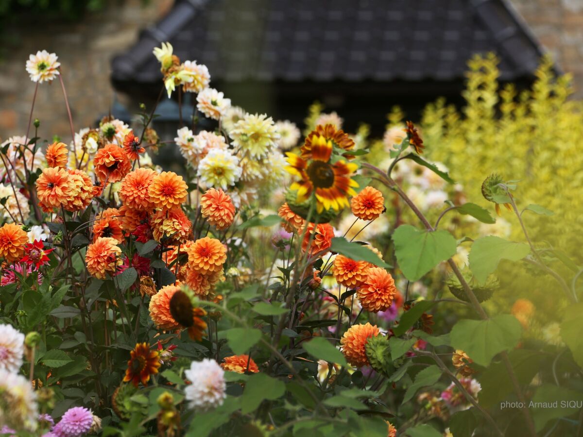 Ferienhaus Maredret Umgebung 39