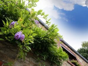 Charmantes Ferienhaus in Mettet mit Garten - Maredret - image1