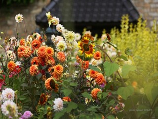 Ferienhaus Maredret Umgebung 41