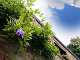 Holiday house Maredret Outdoor Recording 7