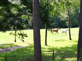 Casa de campo Cerfontaine Entorno 37