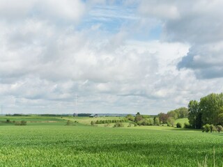 Type de propriété : Ferme Cerfontaine Environnement 36