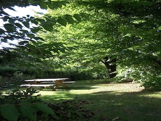Cottage Couvin Außenaufnahme 4