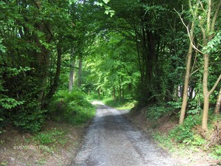 Vakantiehuisje Couvin Omgeving 25