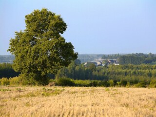 Casa de vacaciones Couvin Entorno 29