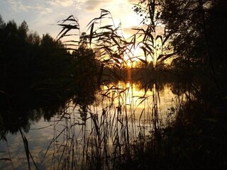 Vakantiehuisje Couvin Omgeving 28