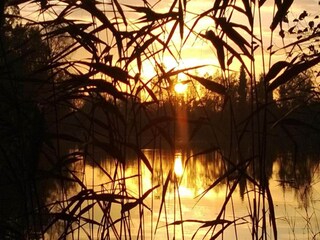 Vakantiehuisje Couvin Omgeving 37