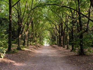 Vakantiehuisje Couvin Omgeving 35