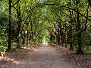 Vakantiehuisje Couvin Omgeving 37