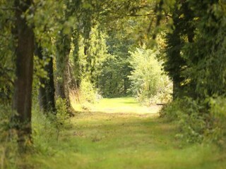 Maison de vacances Couvin Environnement 33