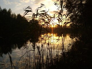 Maison de vacances Couvin Environnement 37