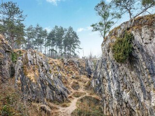 Vakantiehuis Vireux-Wallerand Omgeving 27