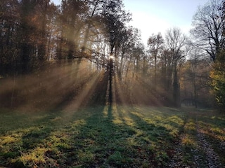 Ferienhaus Vireux-Wallerand Umgebung 25