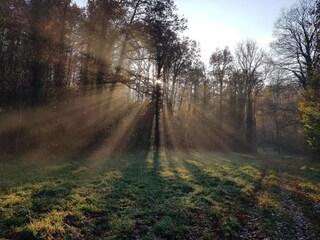 Maison de vacances Vireux-Wallerand Environnement 22