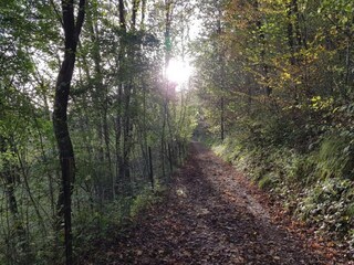 Ferienhaus Vireux-Wallerand Umgebung 26
