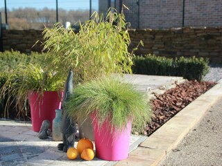 Casa per le vacanze Doische Registrazione all'aperto 4