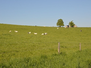 Maison de vacances Doische Environnement 34
