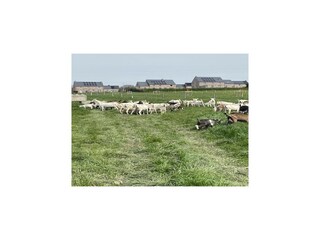 Casa per le vacanze Doische  37