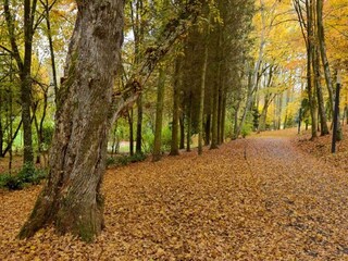 Casa vacanze Doische Ambiente 35