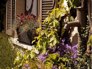 Cottage Doische  37
