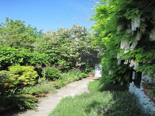 Cottage Doische Außenaufnahme 12
