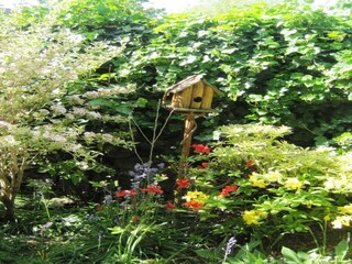 Cottage Doische Außenaufnahme 13