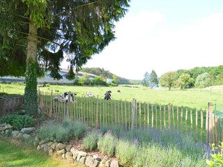 Vakantiehuisje Doische Buitenaudio-opname 10